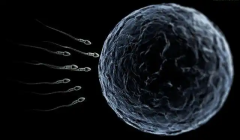 全国有些试管婴儿医院包成功宣传是噱头还是实力？一文读懂