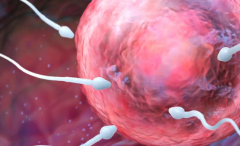 单身人士能在重庆市中医院做试管婴儿吗？费用与成功率全解析