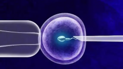 武汉市中西医结合医院单身人士试管婴儿成功几率大吗？