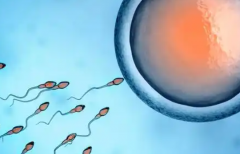 2026年没有结婚的人士能不能在福州妇幼做试管婴儿？详细流程与费用指