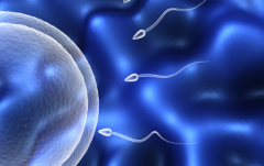 2026年四川省第三代试管婴儿花费多少钱？2026年试管收费明细全公开