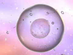 2026年福建福州市正规第三方试管助孕机构费用大约是多少