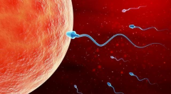 2026湖南永州第三代试管婴儿费用一览，各项目价格完全透明化