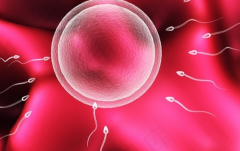 百色市人民医院未婚女性试管婴儿成功率怎么样？