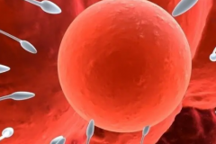 成都私立医院试管包成功可信吗？真实案例曝光背后猫腻