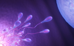 陕西省三代试管助孕成功要多少钱？费用价格表最新发布！