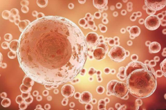 2026年菏泽市立医院单身试管成功率及费用明细，真实经验分享