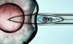 2026年泰安妇幼单身女性做试管婴儿费用明细表一览