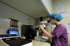 朔州十大助孕公司是哪几家，这10家公司值得了解