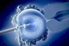 2026年没有结婚证去株洲市妇幼保健院做试管可以吗？试管流程及费用攻