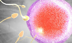 2026年哈尔滨三代试管婴儿助孕价格：10万~15万元(附费用情况+注意事项