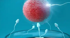 哈萨克斯坦包成功试管婴儿医院内幕曝光，这些骗局你一定要警惕