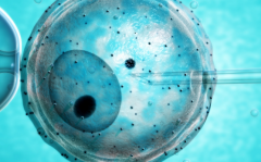 天津市第三代试管婴儿费用明细：单周期费用约12万至20万元