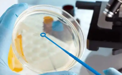 2026年江西助孕详细步骤/费用范围及服务优势展示