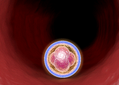 没有结婚证能不能在皖南医学院弋矶山医院做试管？附费用及成功率参