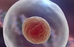 2026河南郑州市三代试管婴儿包成功实操手册：从流程到注意事项详解