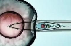 2026年在石家庄市做三代试管包成功可信吗？附医院推荐