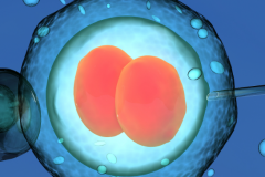 没有结婚证能不能在南京做试管？江苏中医院官方答复与操作步骤