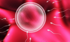 2026年国内三代试管婴儿包成功？附操作流程与关键注意事项