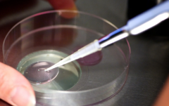 揭秘山西省太原市三代试管助孕费用明细，价格透明一目了然