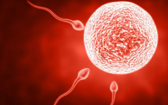 2026年荆州中心医院单身试管婴儿收费项目及价格一览表