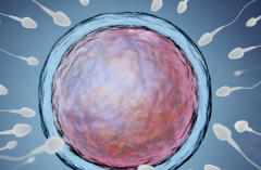 没结婚证能做试管婴儿吗？安徽二附院试管是不是接受未婚人士？