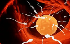 2026年单身人士在山西省煤炭中心医院做试管价格要多少？附详细费用明