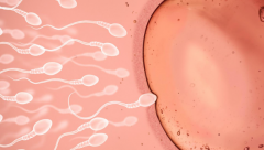 河北附属第一医院试管助孕需结婚证吗？单身未婚人群申请条件详解