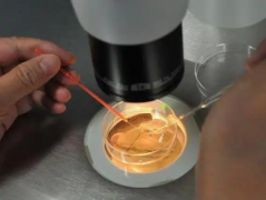 2026年四川成都三代试管承诺包成功靠谱吗？详细流程及注意事项一览