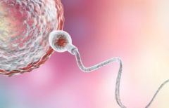 济南试管婴儿包成功机构靠谱吗？业内人士透露关键点