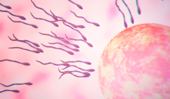 2026年泰安妇幼单身女性做试管婴儿费用明细表已公开