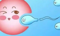 美国三代试管婴儿一次成功率高吗？真实经历分享