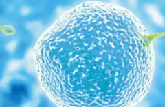 没有结婚证能不能在右江民族医学院附属医院做试管？附费用及成功率