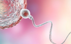 辽宁省沈阳市试管私立机构真的有包成功服务吗？