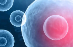 天津市单身女性在天津市蓟州区人民医院做试管婴儿成功率有多高？