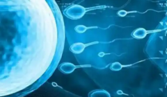 做试管婴儿没有结婚证能做吗？北京美中宜和医院做试管真的不要求结