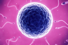 哈尔滨市2026年做试管助孕贵不贵？大概需要多少费用？附详细费用清单