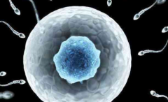 2026年在石家庄市做三代试管包成功有保障吗？附上医院信息