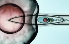 深圳三代试管包成功套路揭露，深圳10家试管婴儿医院优选指南