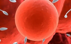 阜新第二人民医院三代试管攻略：单身适用性、费用及成功率一览