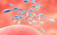 湖北省单身女性在黄石爱康医院做试管婴儿成功率有多高？