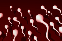 柬埔寨私立医院试管婴儿包成功可信吗？真实成功率大概是多少？