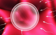 湘雅附三未婚试管成功率真实数据是多少