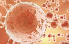 哈萨克斯坦第三代试管婴儿包成功是真的吗？