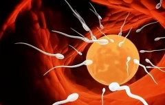 重庆私立医院试管婴儿包成功可信吗？真实成功率大概是多少？