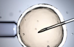 2026年未婚想做试管婴儿怎么办？岳阳妇幼可以操作吗？