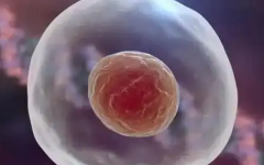 国外试管婴儿包干套餐性价比解析：服务内容与价格深度匹配