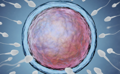 2026年南宁三代试管包成功是骗局吗？附详细流程与必须注意的事项