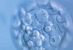 云南省昆明市私立医院做试管婴儿承诺包成功靠谱吗？是不是夸大宣传