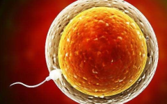 美国宣称试管包一次成功的私立医院可信吗？